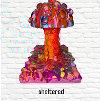 Image 1 of Sheltered