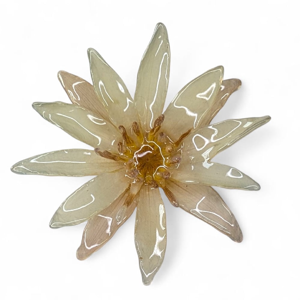 Image of Waterlily Brooch