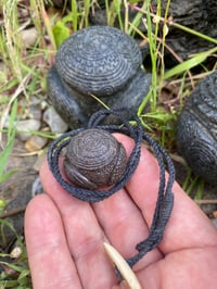 Image 1 of Petrosphere Pendant