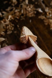 Image 6 of         Mushroom Coffee Scoop