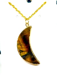 Image 1 of Tigers Eye Moon Necklace #1