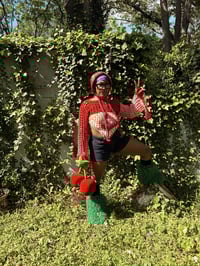 Image 2 of strawberry swing