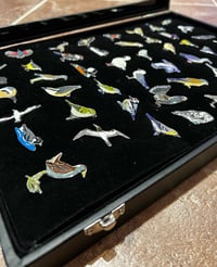 Image 3 of Pin Badge Display Case - 3 Sizes Available