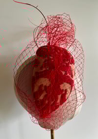 Image 3 of Red ‘face hugger’