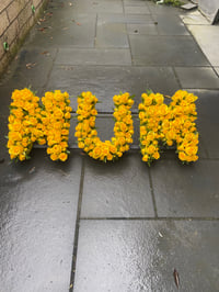 Image 1 of 3 letter Rose Frame 