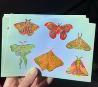Watercolor Moth Sticker Sheet