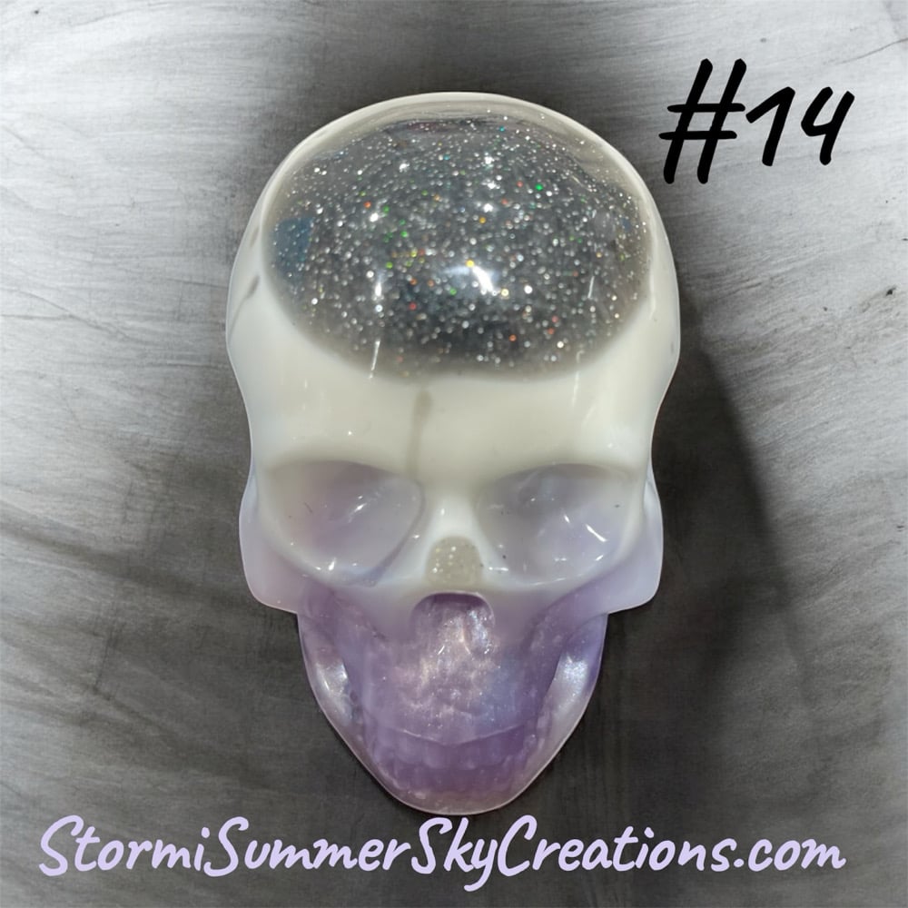 Image of Medium Sized Skulls