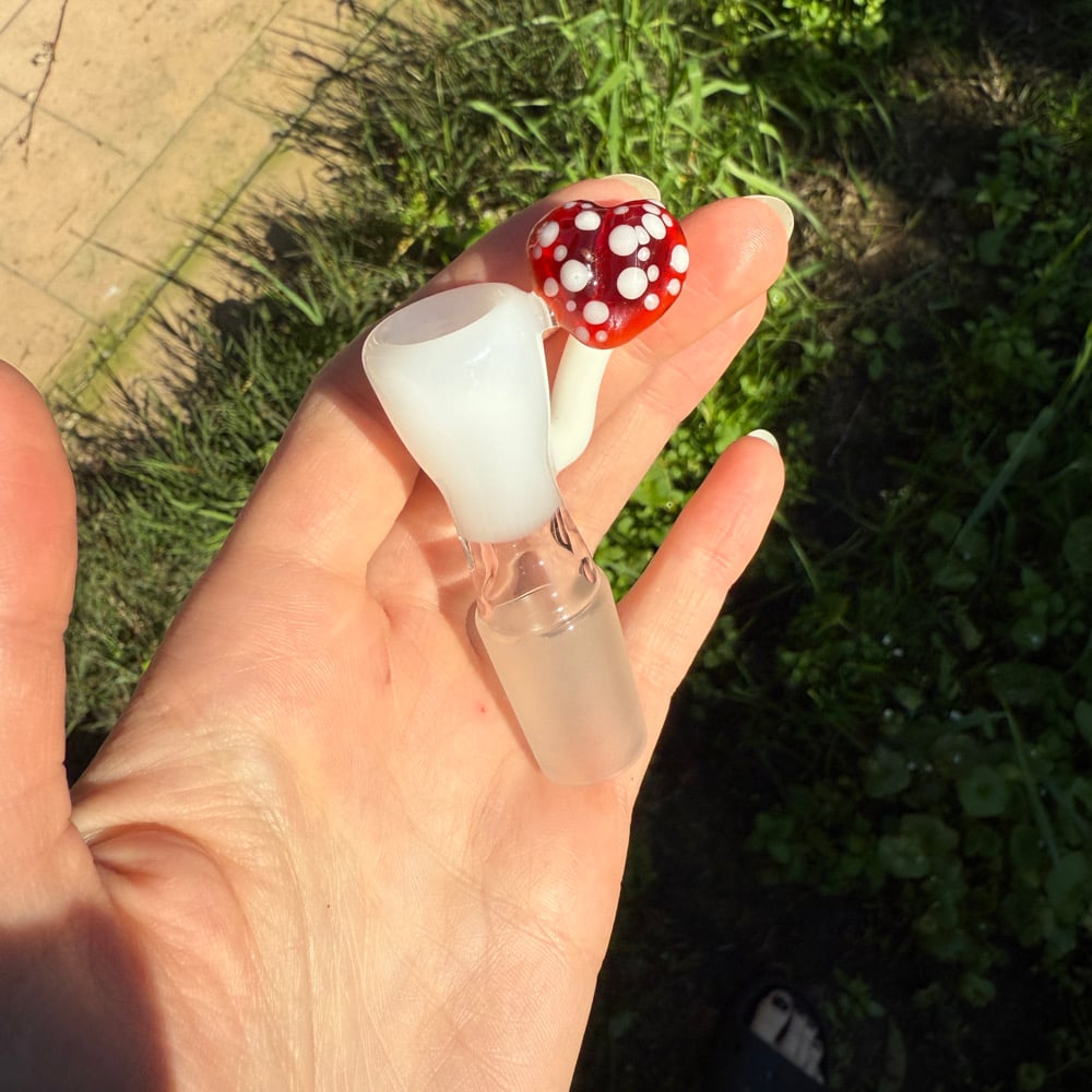 Image of Heart Mushroom Slides