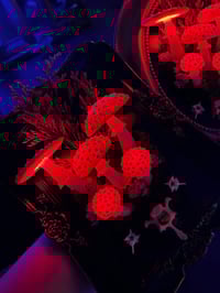 Image 2 of Amanita muscaria frame LED