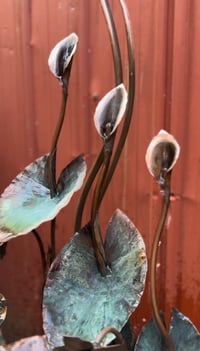 Image 3 of Calla Daffodil Lotus Love