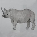 Image 2 of £50 originals - Rhino watercolour