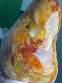 Image 2 of XL ORBICULAR CARNELIAN FREEFORM -MADAGASCAR-
