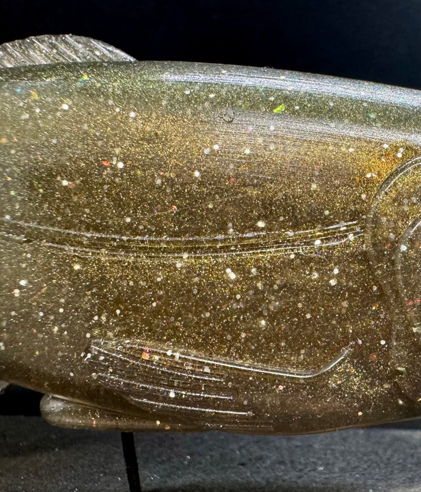 Roma Trout - Carp Shiner - Image 5