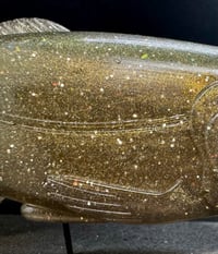 Image 4 of Roma Trout - Carp Shiner