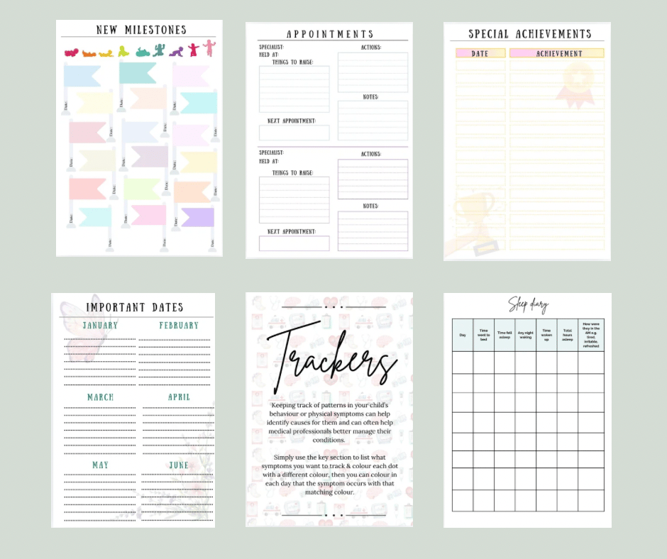 2025 Ulimate SEND Organiser Printable 