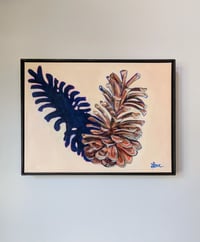 Image 2 of Loblolly Pine Cone #2