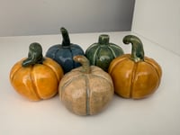 Image 2 of Pwmpenni unigol - single Pumpkins