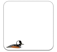 Image 5 of Hooded Merganser - No.138 - UK Birding Series