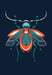 Image of Beetle #4