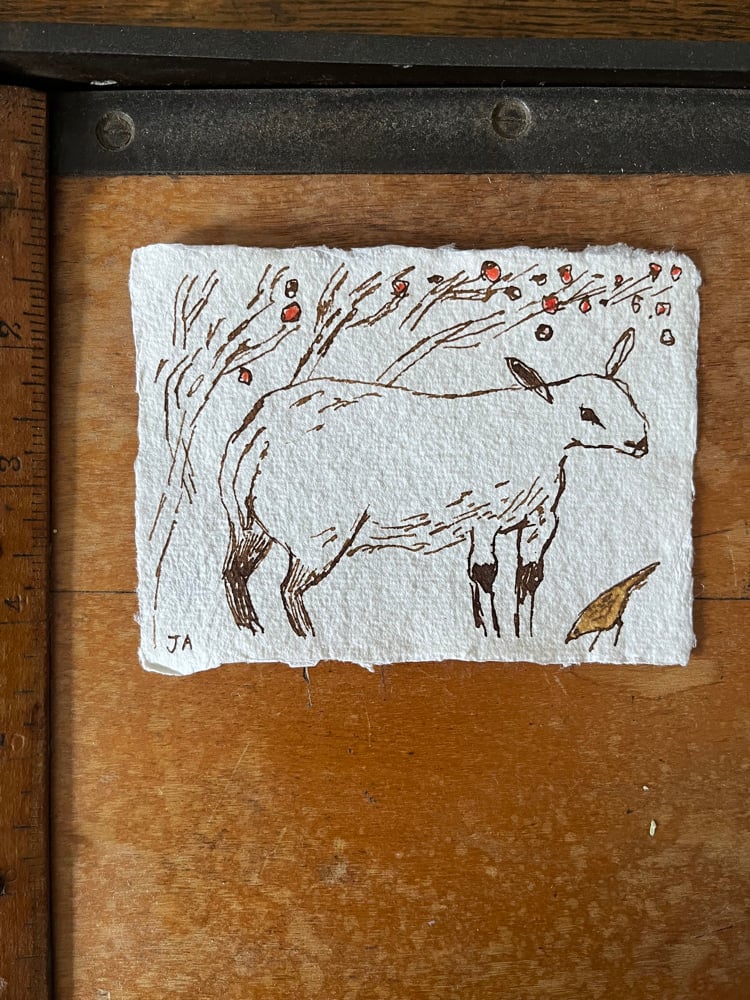 Image of Little sheep and sparrow