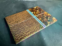 Image 3 of Baltic Amber & Leopardwood Segmented Knife Scales