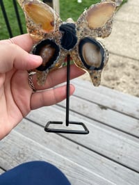 Image 5 of Butterfly Agate
