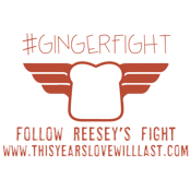 Image of GingerFight T-Shirts --PREORDER