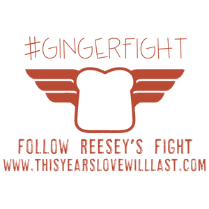 Image of GingerFight T-Shirts --PREORDER