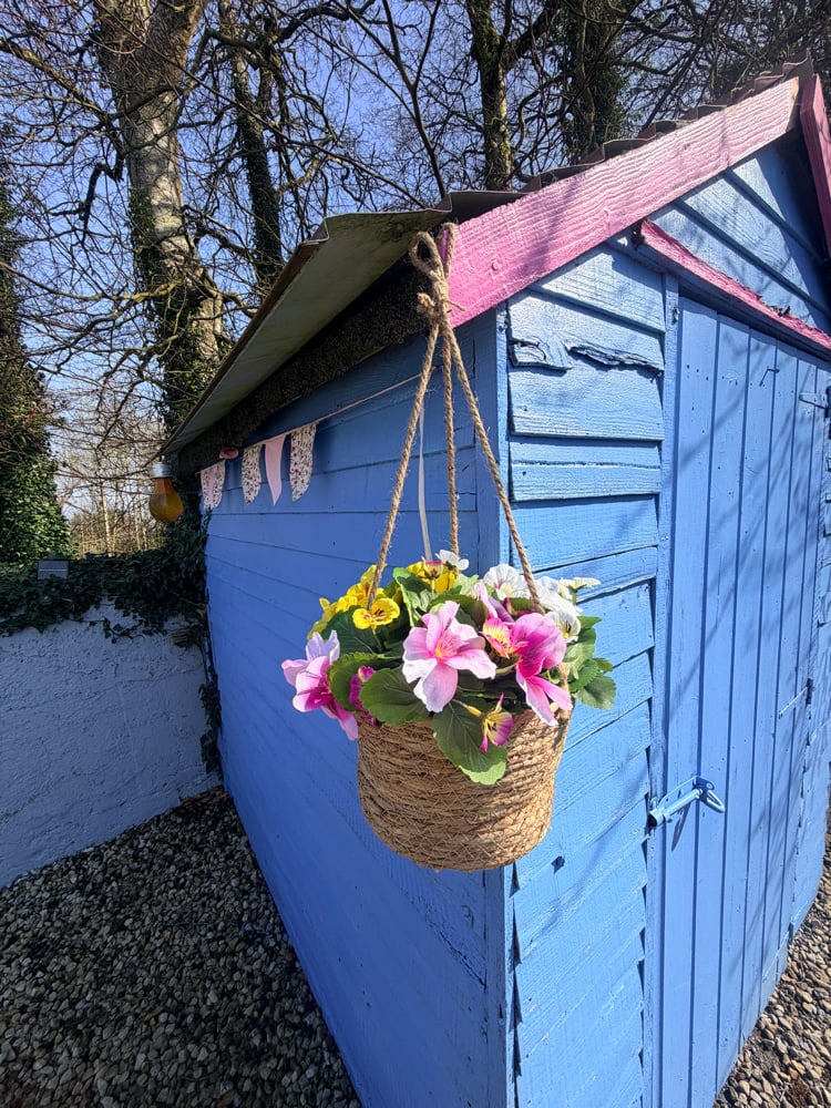Image of 25cm Hanging Pansy Basket 