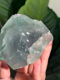 Image 8 of XL TEAL CUBIC FLUORITE -CHINA-