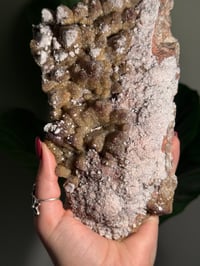 Image 11 of XL SUGARY DOG TOOTH CALCITE -MEXICO- B