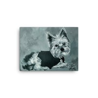 Image 4 of B&W Yorkie