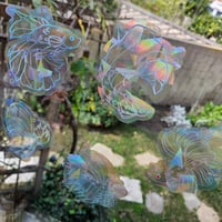 Image 1 of Betta Sun Catcher