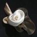 Image of R86  White Rose