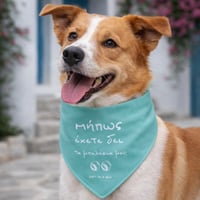 Image 4 of ΦΟΥΛΑΡΙ ΣΚΥΛΟΥ ΜΠΑΛΑΚΙΑ