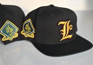 Image of LC Snaps 