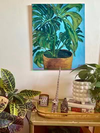 Image 2 of Monstera #1