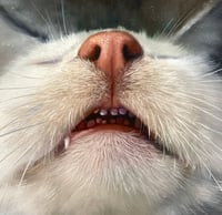 Image 1 of "Thief’s Teefs" Original painting