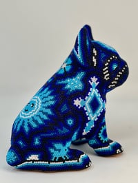 Image 2 of French Bulldog Puppy 002