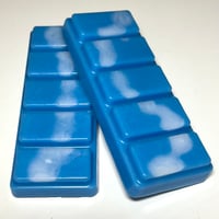 Image 1 of 'Wood Sage & Sea Salt' Wax Melts