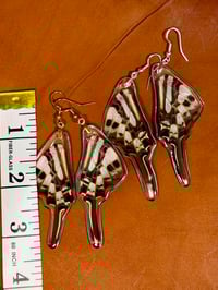 Image 2 of Common Swordtail Hindwing - Underside (Red)