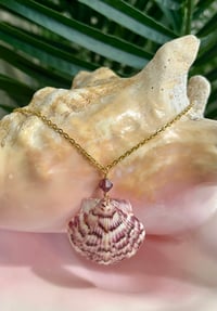 Image 1 of Scallop Shell Necklace N175