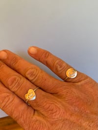 Image 10 of The Paw & the Moon 