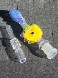 Image 1 of Purple and Yellow Nectar Collector
