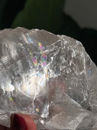Image 10 of RAINBOW FILLED LA PLATOSA SELENITE -MEXICO- B
