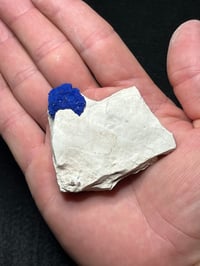 Image 9 of Azurite Suns On Matrix Specimen | NT Australia #2775