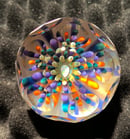 Image 1 of Faceted Opal Basket Marble With Pinweehls2