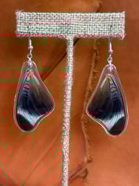 Image 1 of Prola Beauty Forewings - Underside