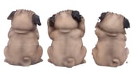 Image 5 of Three Wise Pugs