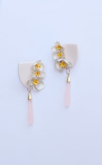 Image 5 of Orchids in Bloom